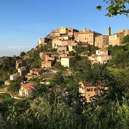 N6 De Vacancorse Maison U Canale Apartment Speloncato (Corsica)